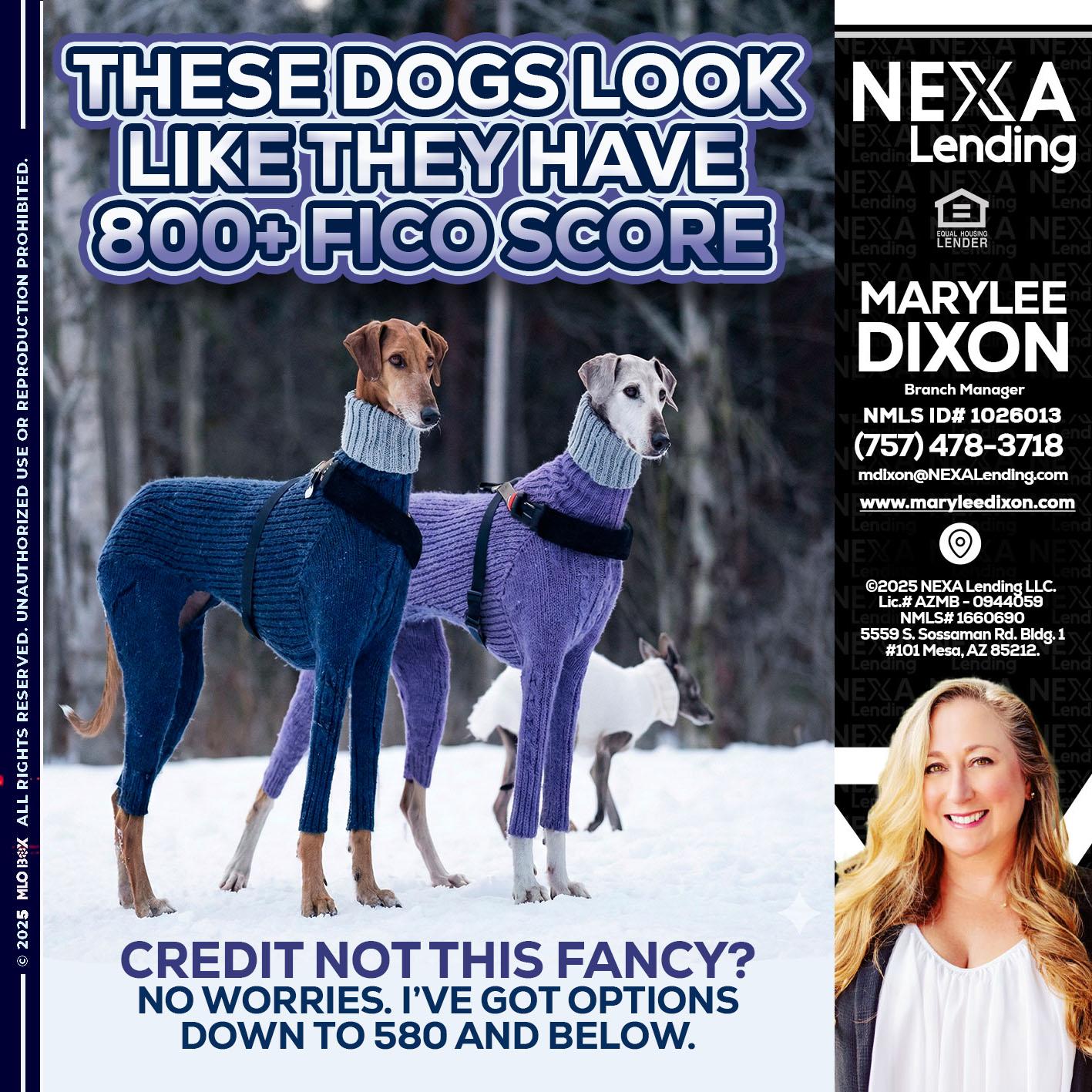 THESE DOGS LOOK - Marylee Dixon -Branch Manager